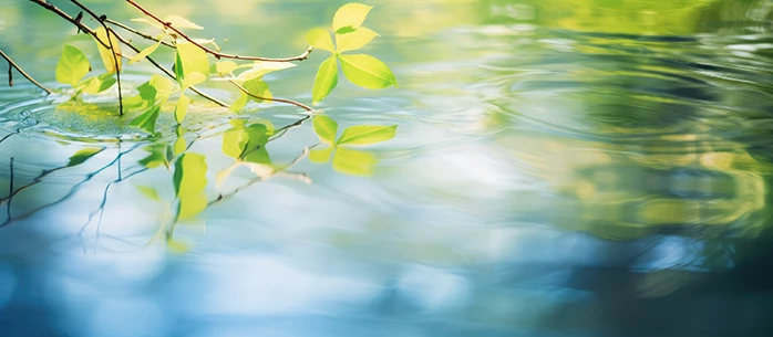 大安心保存水SEVEN7 水の特徴