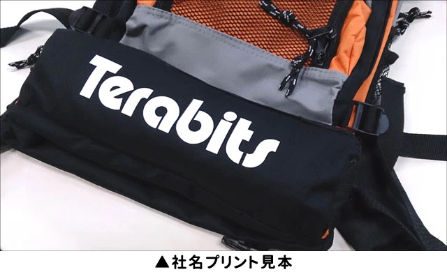 大安心セット デイパック