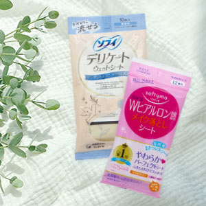 女性用品セット　シート　イメージ