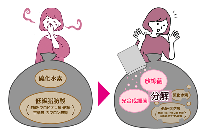 モレーヌバイオ