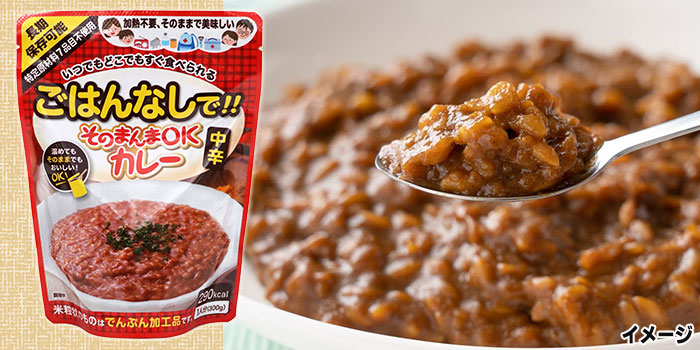 そのまんまOKカレー　中辛