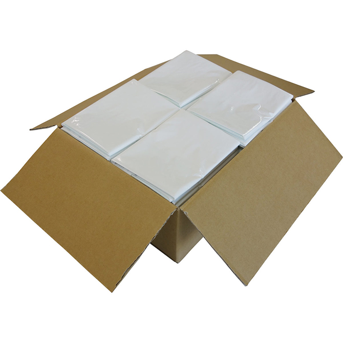 jpbN^ĝăpbN100 UPS-100 pgC zV[ǧ^gC jIC} rz 
